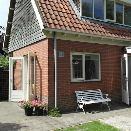 Tilia